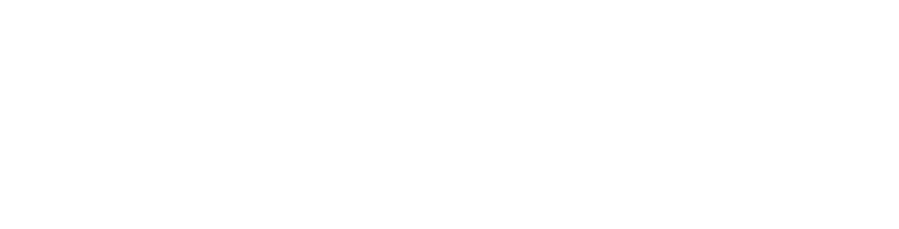 Volleyball Training Camp